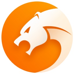 猎豹浏览器v8.0.0.22226