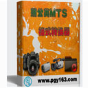 蒲公英MTS格式转换器v12.3.6.0